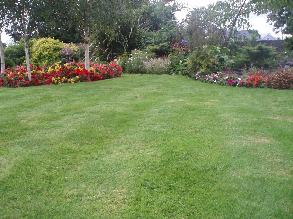 Rosdarrig Bed & Breakfast Boyle Buitenkant foto