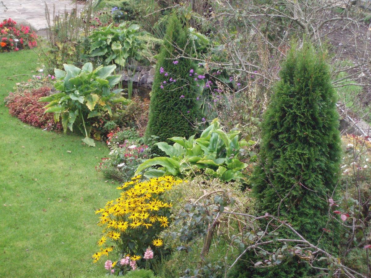 Rosdarrig Bed & Breakfast Boyle Buitenkant foto