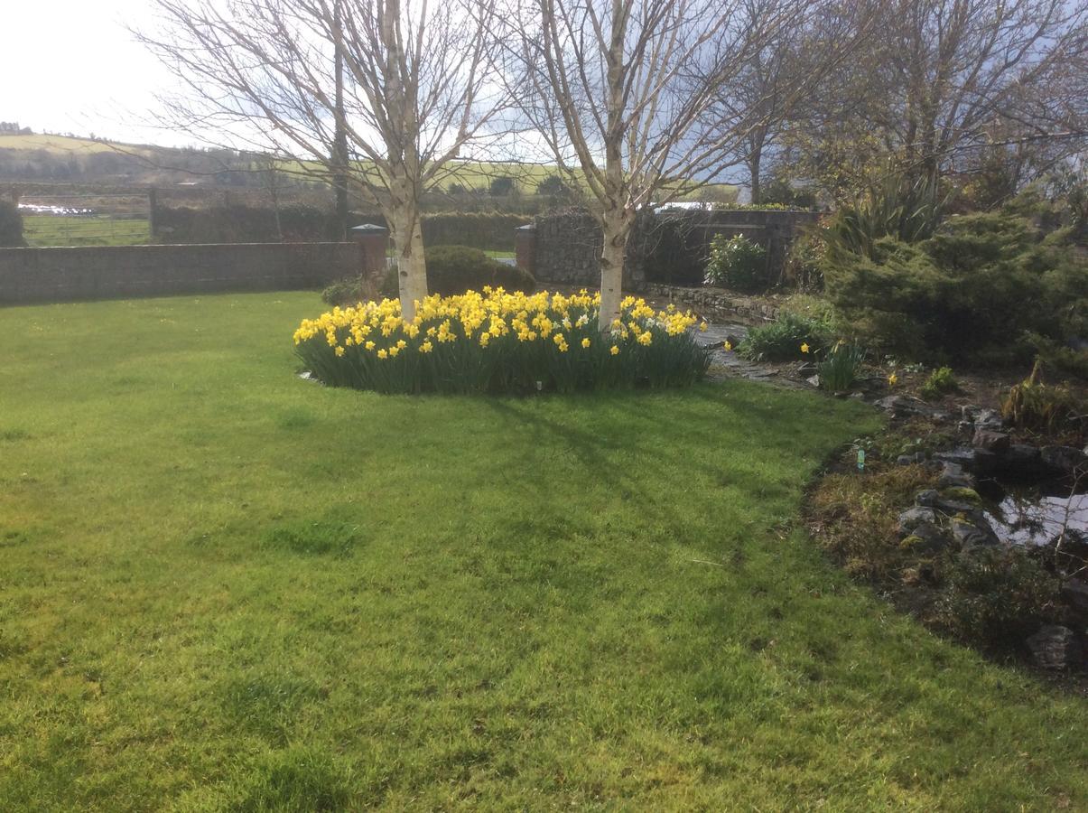 Rosdarrig Bed & Breakfast Boyle Buitenkant foto